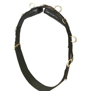 Training Surcingle with Leather Back Pad