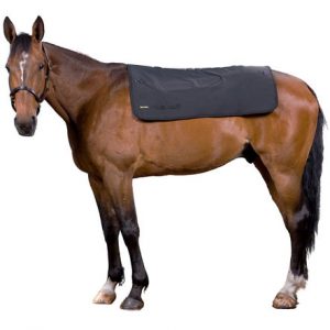 Back-On-Track Back Warmer