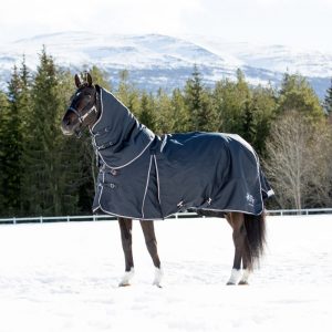 B Vertigo Georgina Medium Weight Turnout Blanket
