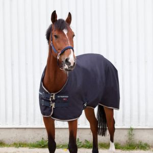 B Vertigo Virginia Summer Stable Rug