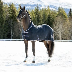 B Vertigo Theo Thermo Blanket