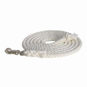 Cotton Trainers Lead