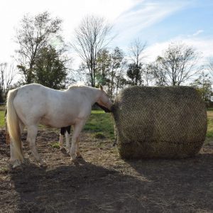 Tough 1 Deluxe 6' x 6' Round Bale Slow Feed Hay Net-2