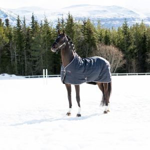 B Vertigo Corey Stable Blanket 250g