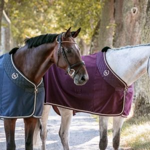 Back on Track Nights Collection – Fleece Blanket